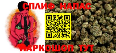 гидра Гусев
