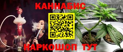 индика Апрелевка
